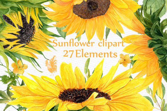 Bring Warmth to Your Projects with Sunflower Watercolor Clipart